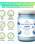 True Sea Moss - Sea Moss Gel - Blue Spirulina + Mint - 453g