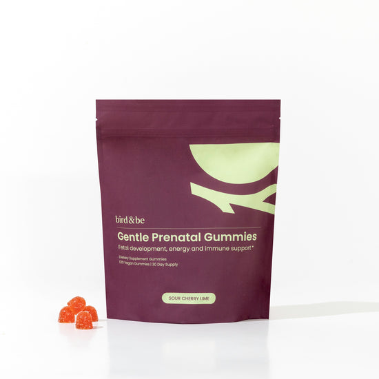 bird & be Gentle Prenatal Gummies- Sour Cherry Lime 120 Gummies
