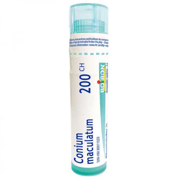 Conium maculatum 200ch