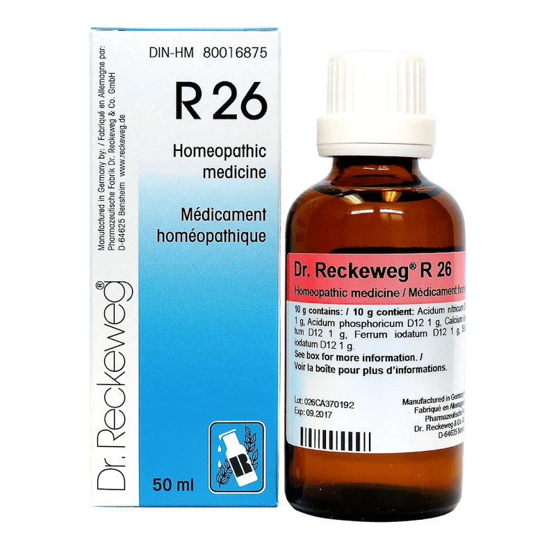 Dr Reckeweg R 26 50ml