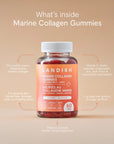 Landish Marine Collagen Gummies Citrus Berry 60 Gummies