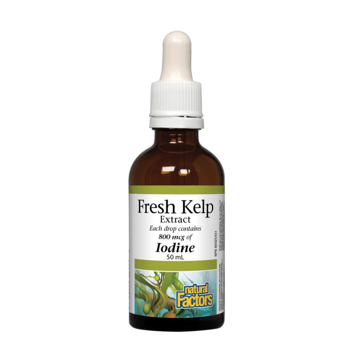 Natural Factors Fresh Kelp Extract 50ml