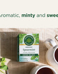 Spearmint 16 Tea Bags