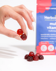 HerbaLand Adult Multi 90 Mixed Berry Gummies