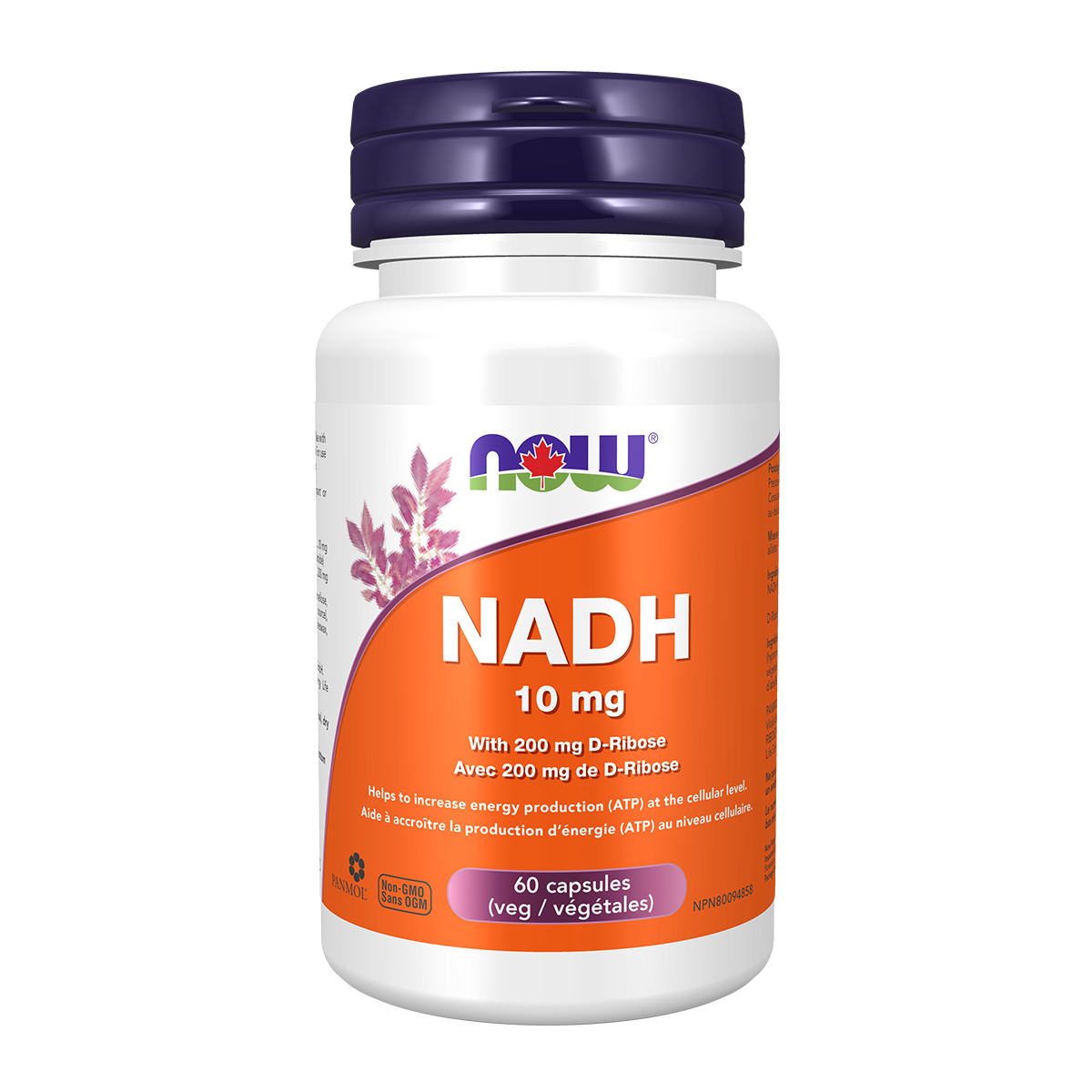 NOW NADH 10mg