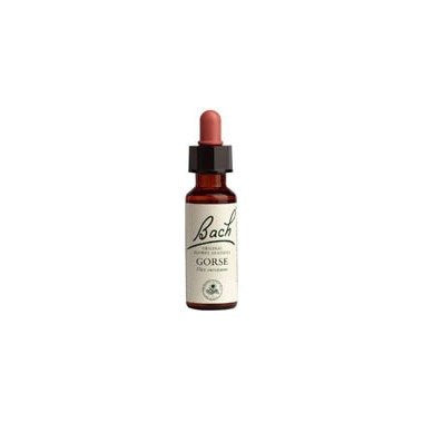 Bach Gorse 20ml