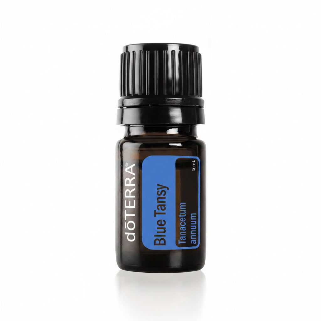 Blue Tansy