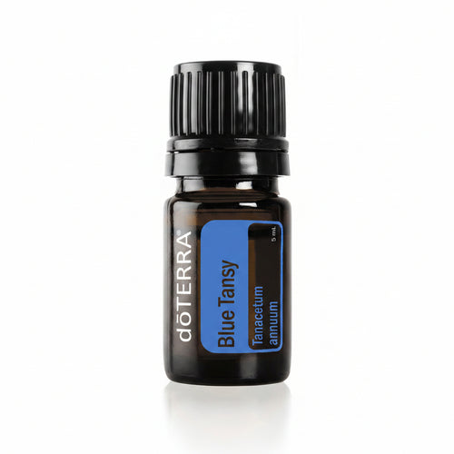 Blue Tansy