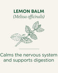 Lemon Balm 16 Tea Bags