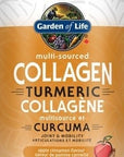 Multi-Sourced Collagen Turmeric - Apple Cinnamon 220g