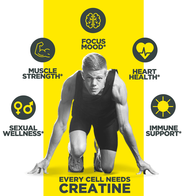 Con-Cret Concentrated Creatine HCL - 64 servings - 48g