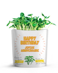 Microgreen Greeting Card Happy Birthday - Sunflower Microgreens