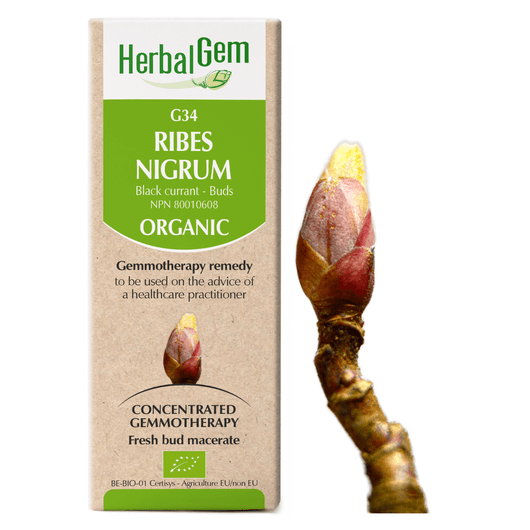 Herbal Gem G34 Ribes Nigrum 15 mL