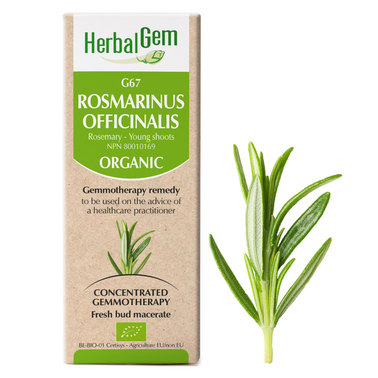 Herbal Gem G67 Rosmarinus Officinalis 15 mL