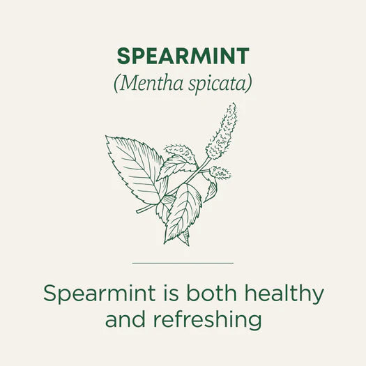 Spearmint 16 Tea Bags