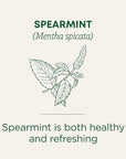 Spearmint 16 Tea Bags