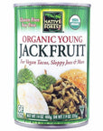 Organic Young Jackfruit 389ml