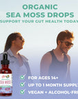 Mary Ruth's Sea Moss Liquid 30ml